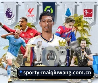 sporty-maiqiuwang.com.cn APP